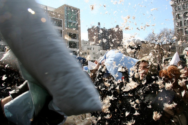 Union Square Pillow Fight Hillelarnold Com